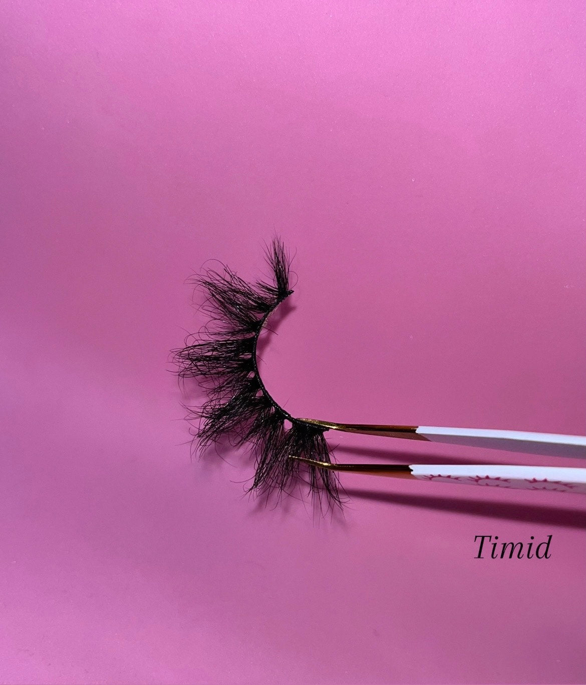 Timid